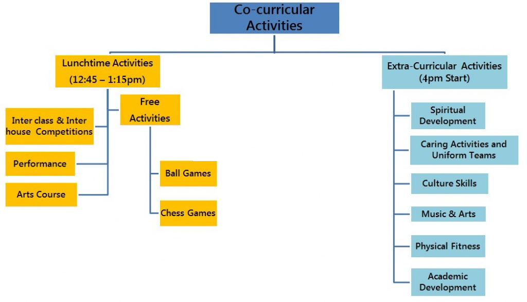 CCA_Structure