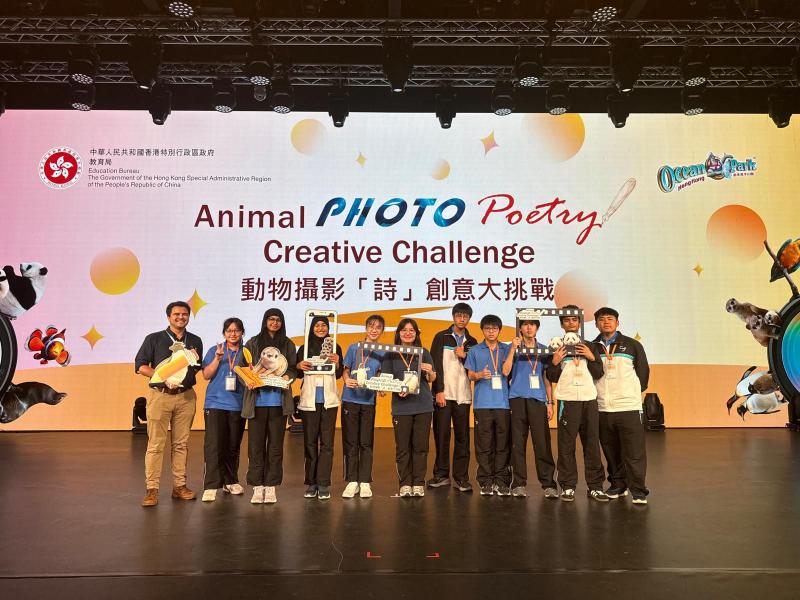 Animal Photo Poetry Creative Challenge