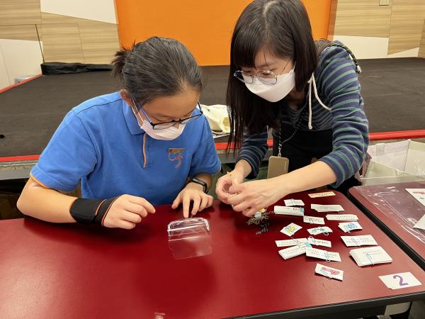 Dried Flower Bookmark Making Activity