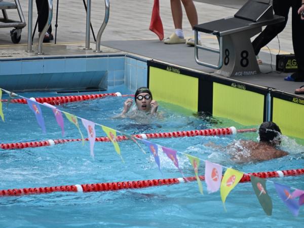 Yuen Long Secondary Schools Area Committee Inter-school Swimming Championships 2025-2026