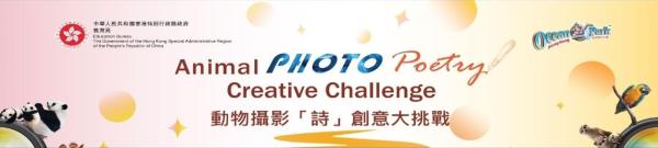 動物攝影「詩」創意大挑戰比賽