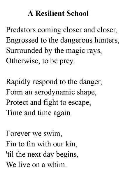 Animal Photo Poetry Creative Challenge