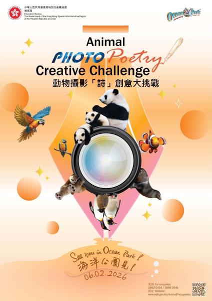 Animal Photo Poetry Creative Challenge