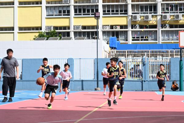 Primary_School_Basketball_Competition