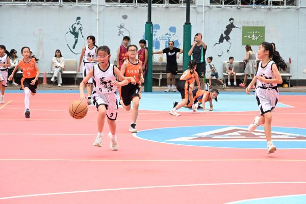 Primary_School_Basketball_Competition