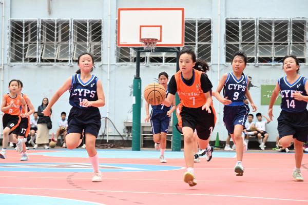 Primary_School_Basketball_Competition