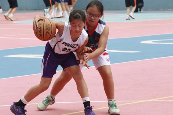 Primary_School_Basketball_Competition