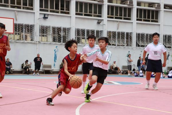 Primary_School_Basketball_Competition