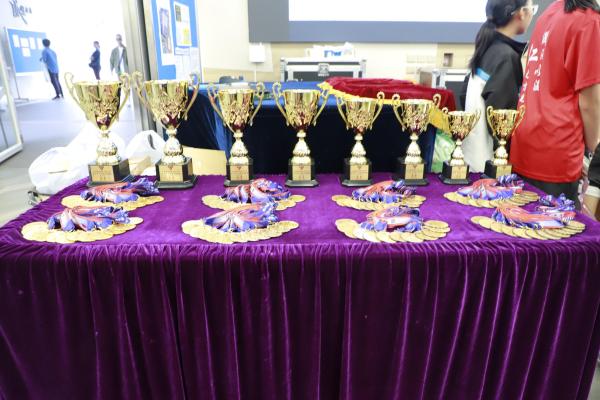 Primary_School_Basketball_Competition