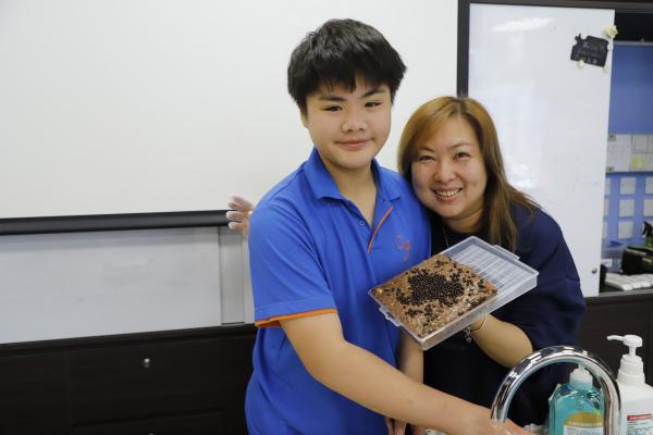 Snowflake Crisp Making Class