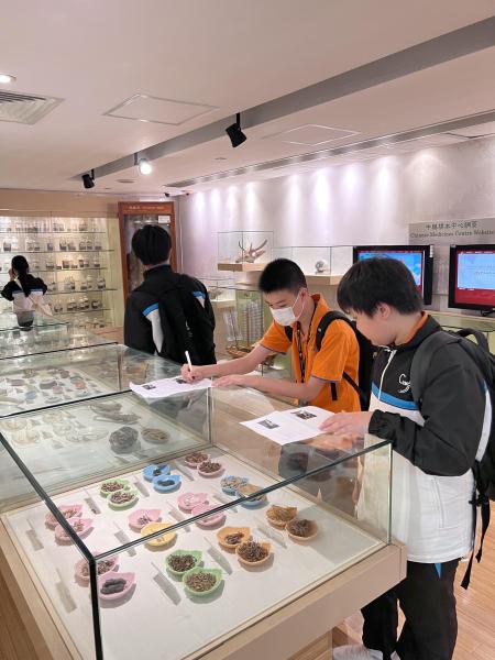 S2(B團)_香港浸會大學孔憲紹博士伉儷中醫藥博物館（博物館日）