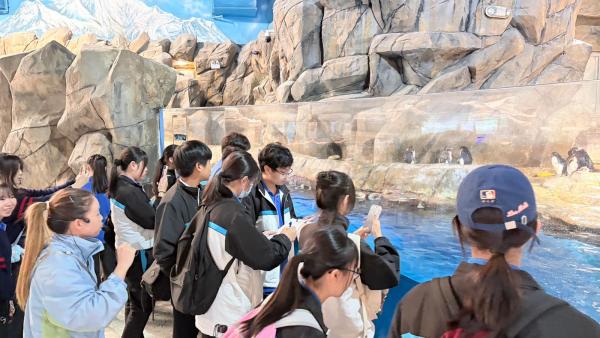 海洋公園環保體驗活動--極地之旅