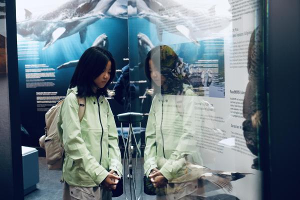 Study Tour to Norway, Finland and Iceland